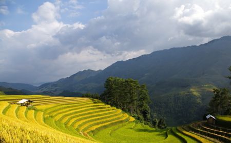 Hà Nội - Nghĩa Lộ - Mù Cang Chải - Tú Lệ