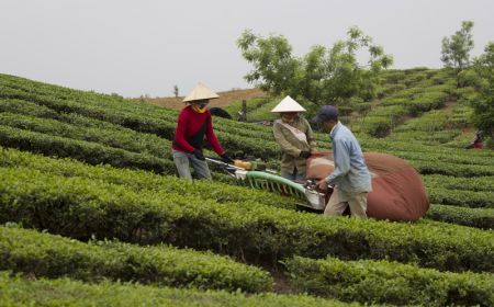 Hà Nội - Mộc Châu - Sơn La - Điện Biên - Hà Nội