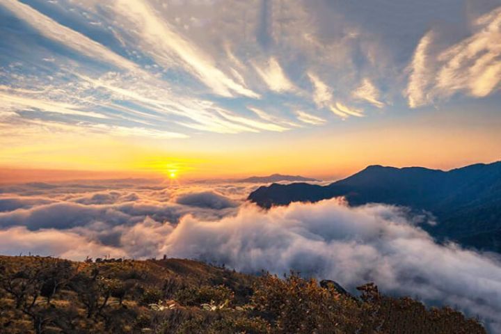 Hà Nội - Săn Mây Trên Đỉnh Tà Xùa