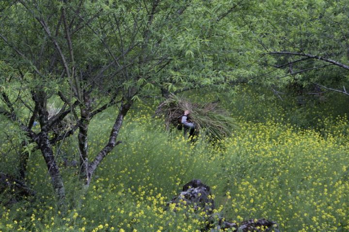Hà Nội - Mộc Châu - Sơn La - Điện Biên - Hà Nội
