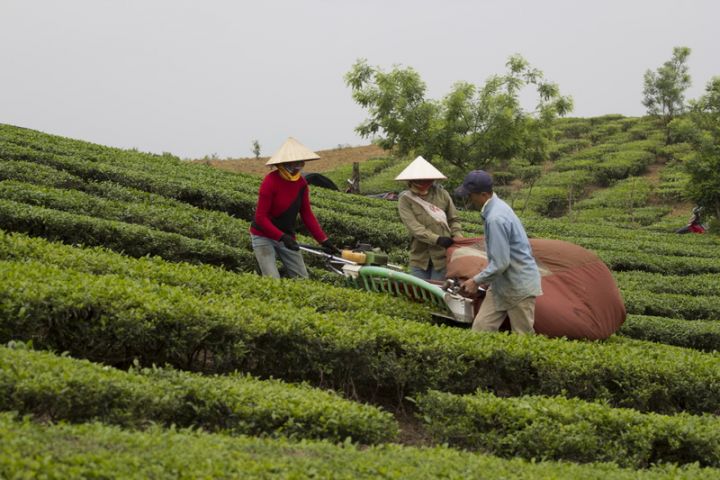 Hà Nội - Mộc Châu - Sơn La - Điện Biên - Hà Nội